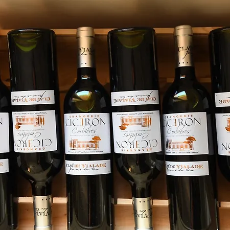 Chateau Ciceron Prázdninový dům Ribaute