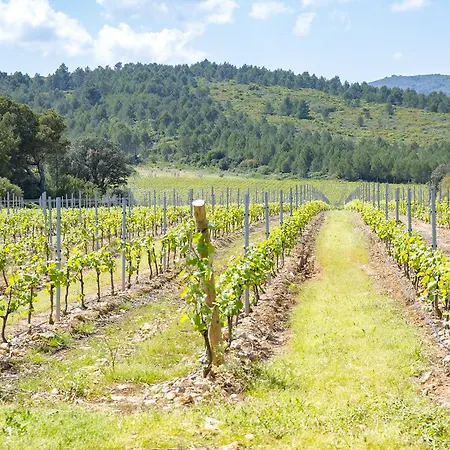 Chateau Ciceron
