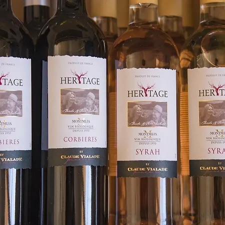 Chateau Ciceron Prázdninový dům Ribaute